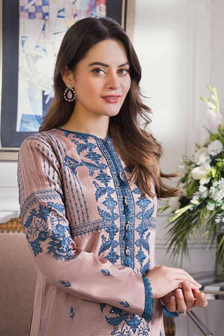 Elegant Dhanak 3 Piece Embroidered