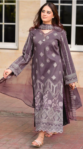 Luxury Dhanak 3 Piece Embroidered