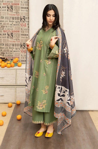 Soft Dhanak 3 Piece Embroidered with Printed pashmina wool Shawl