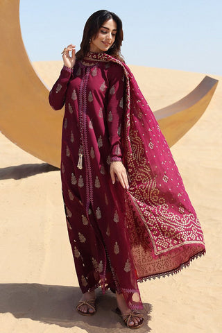Luxury Dhanak 3 Piece Embroidered
