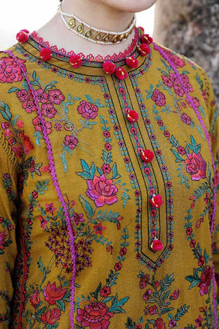 Premium Dhanak 3 Piece Embroidered