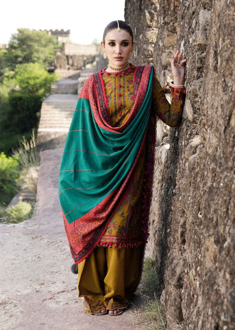 Premium Dhanak 3 Piece Embroidered