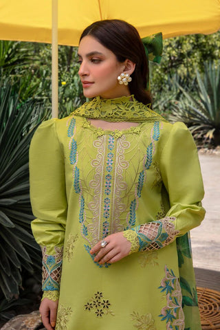 Luxury Dhanak 3 Piece Embroidered