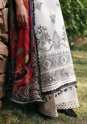 Dhanak 3 Piece Embroidered with Printed pashmina wool Shawl