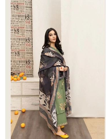 Soft Dhanak 3 Piece Embroidered with Printed pashmina wool Shawl