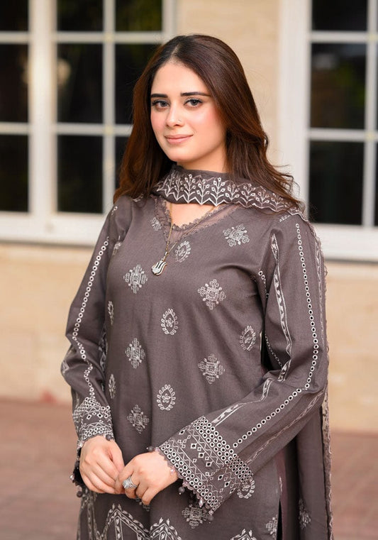 Luxury Dhanak 3 Piece Embroidered