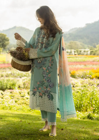 Soft Dhanak 3 Piece Embroidered with Printed pashmina and wool Shawl