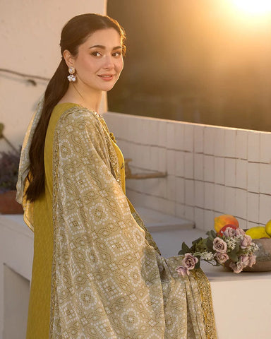Premium Dhanak 3 Piece Embroidered