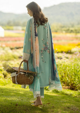 Soft Dhanak 3 Piece Embroidered with Printed pashmina and wool Shawl