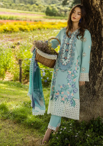Soft Dhanak 3 Piece Embroidered with Printed pashmina and wool Shawl