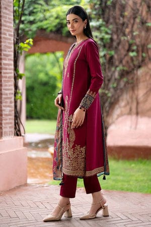 Elegant Dhanak 3 Piece Embroidered