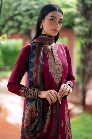 Elegant Dhanak 3 Piece Embroidered