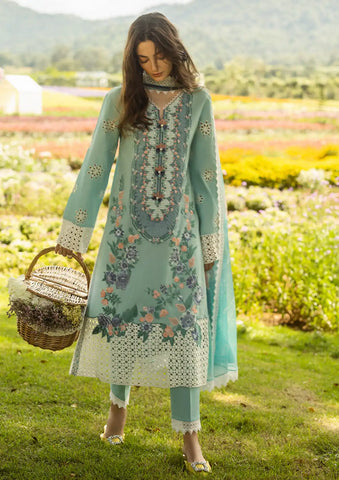 Soft Dhanak 3 Piece Embroidered with Printed pashmina and wool Shawl