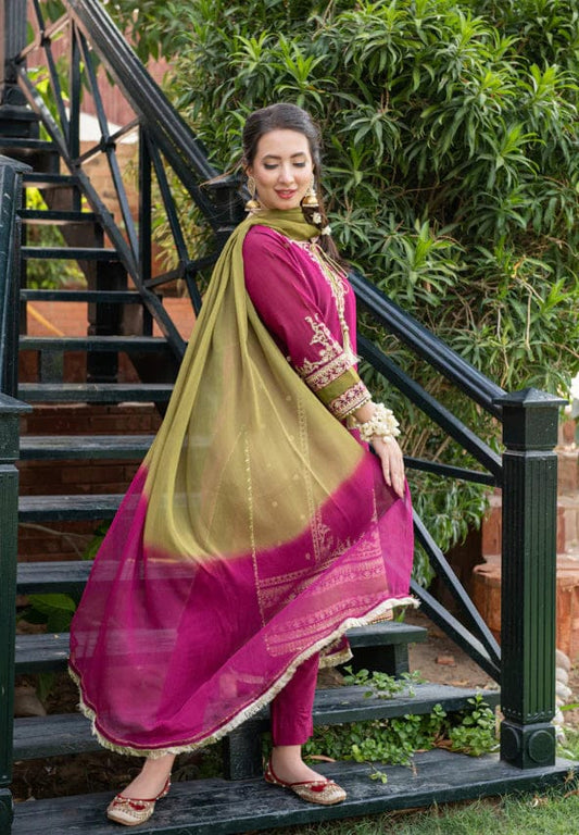 Luxury Dhanak 3 Piece Embroidered