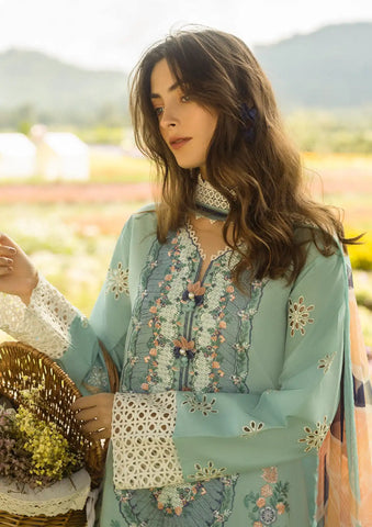 Soft Dhanak 3 Piece Embroidered with Printed pashmina and wool Shawl