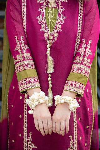 Luxury Dhanak 3 Piece Embroidered