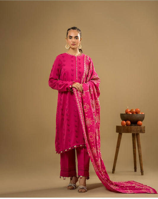 Luxury Dhanak 3 Piece Embroidered