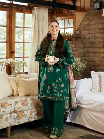 Luxury Dhanak 3 Piece Embroidered