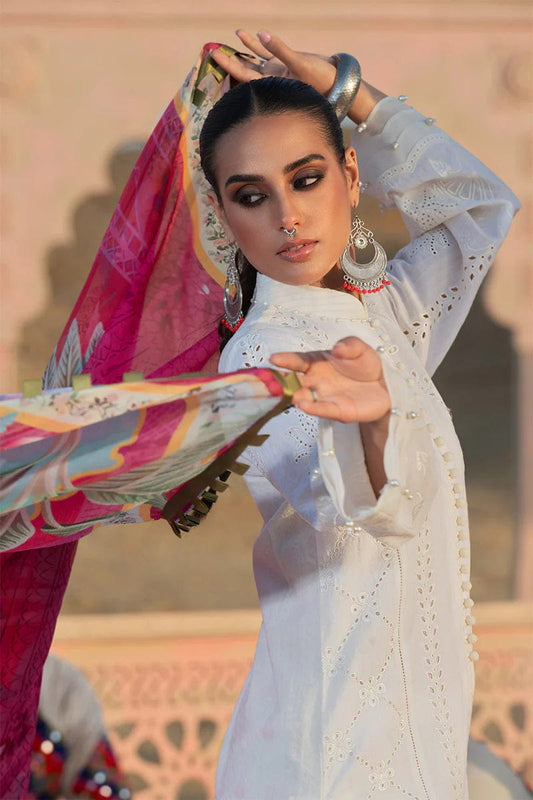 Luxury Dhanak 3 Piece Embroidered