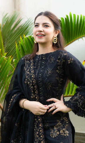 Luxury Dhanak 3 Piece Embroidered