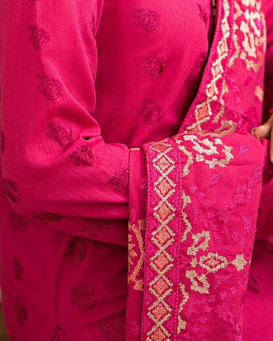 Luxury Dhanak 3 Piece Embroidered