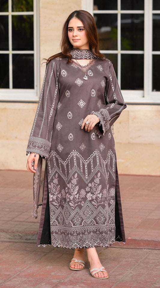 Luxury Dhanak 3 Piece Embroidered