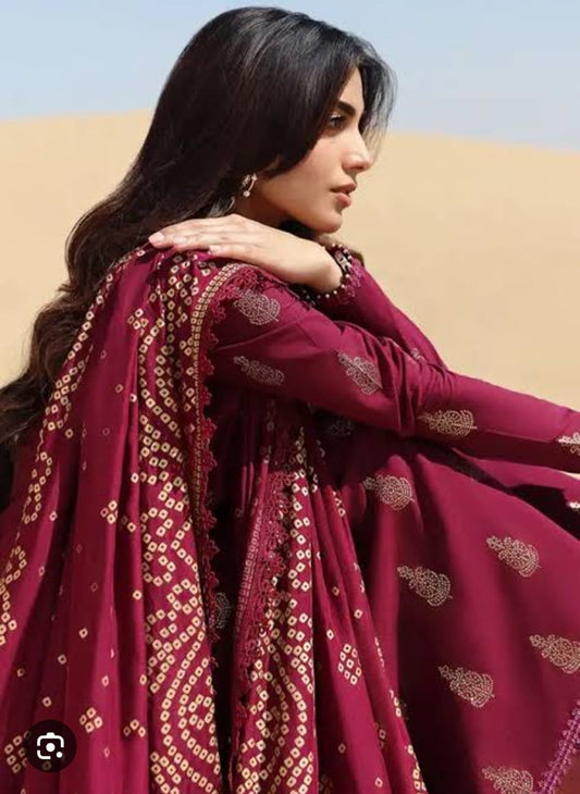 Luxury Dhanak 3 Piece Embroidered