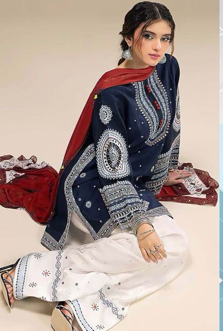 Premium Dhanak 3 Piece Embroidered