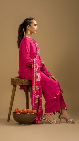 Luxury Dhanak 3 Piece Embroidered