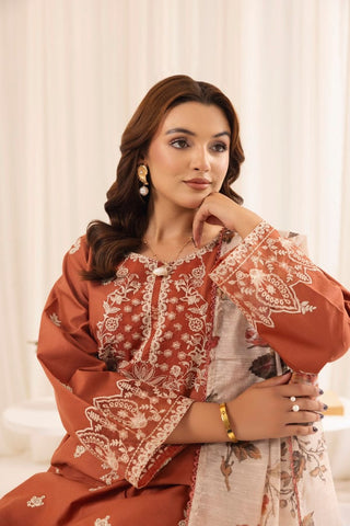 Luxury Dhanak 3 Piece Embroidered