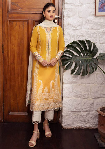 Premium Dhanak 3 Piece Embroidered