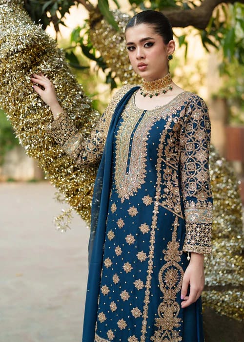 Premium Dhanak 3 Piece Embroidered