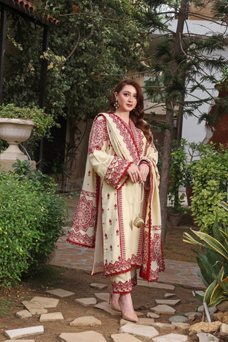 Elegant Dhanak 3 Piece Embroidered