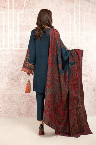 Elegant Dhanak 3 Piece Embroidered