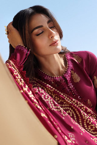 Luxury Dhanak 3 Piece Embroidered