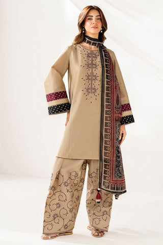 Premium Dhanak 3 Piece Embroidered