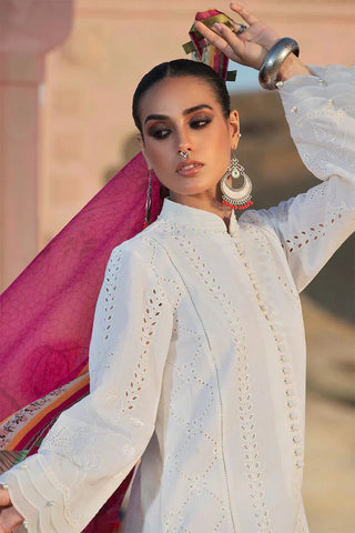 Luxury Dhanak 3 Piece Embroidered