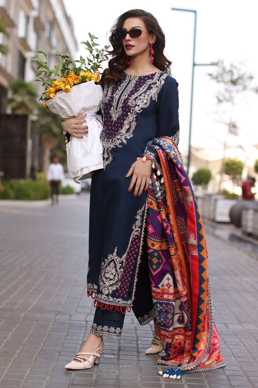 Premium Dhanak 3 Piece Embroidered