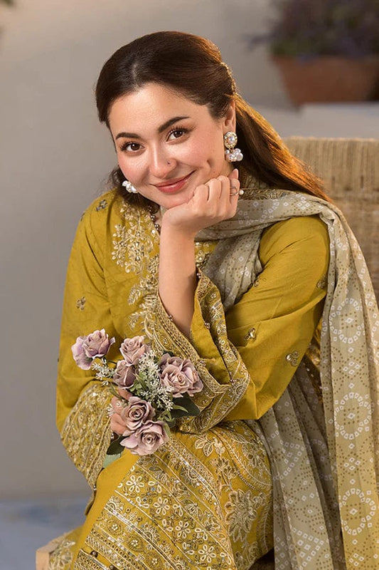 Premium Dhanak 3 Piece Embroidered