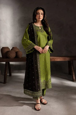Luxury Dhanak 3 Piece Embroidered