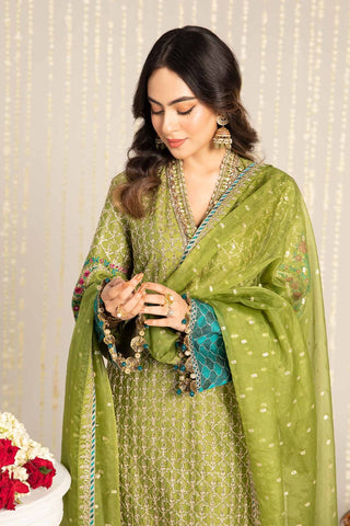 Premium Dhanak 3 Piece Embroidered