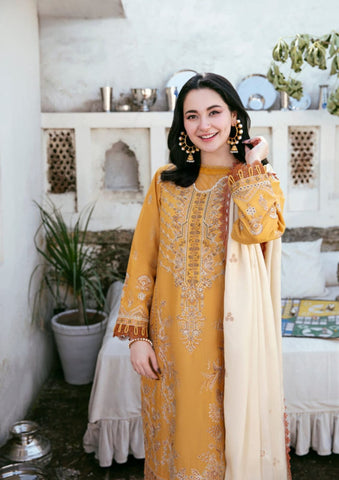 Elegant Dhanak 3 Piece Embroidered