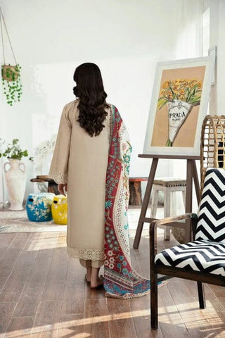 Elegant Dhanak 3 Piece Embroidered