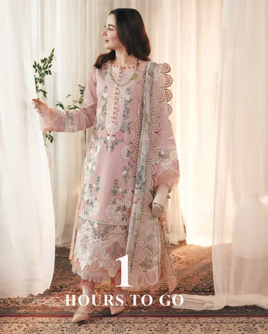 Elegant Dhanak 3 Piece Embroidered