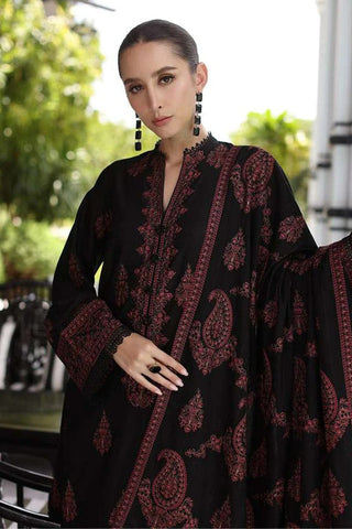 Luxury Dhanak 3 Piece Embroidered